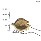 Hal formájú dísztál, sárgaréz, L | DORI | SMOL - méretarányosan