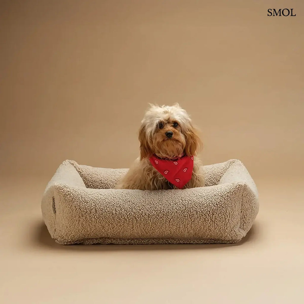 PET SNUGGLE kisállat fekvőhely biscuit teddy szövetből, M méret – 73 × 61 × 23 cm, barna háttérrel, kiskutyával