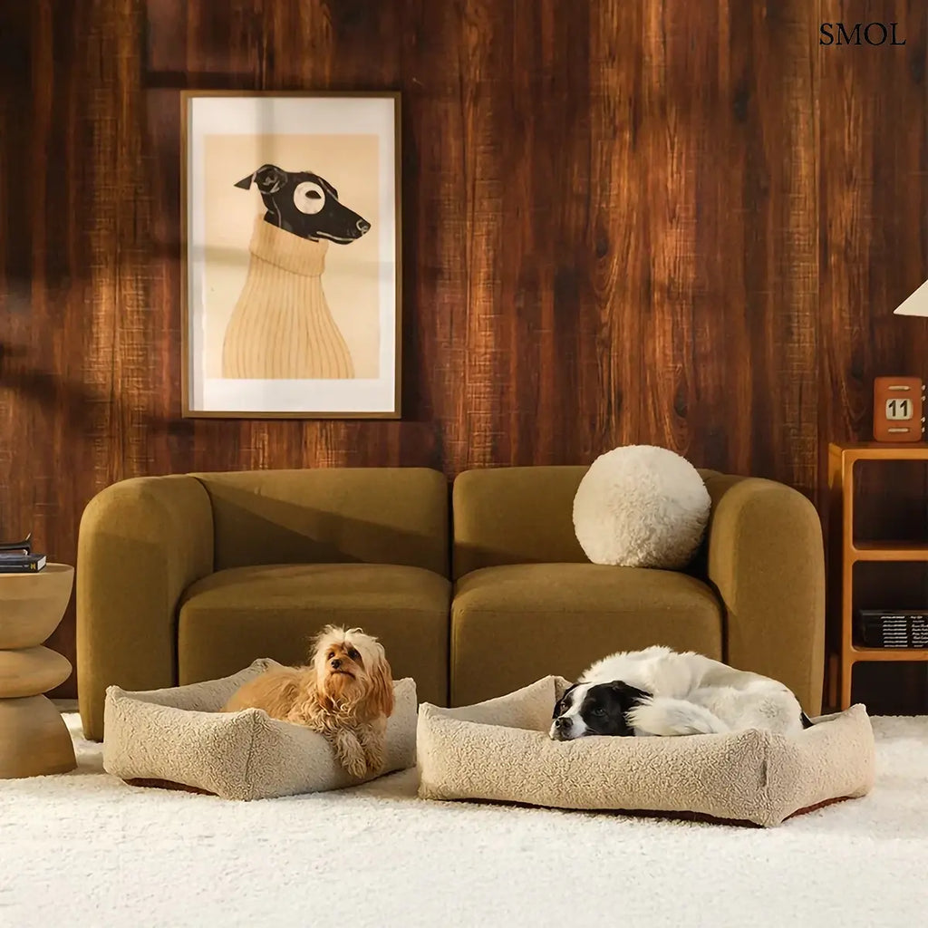 PET SNUGGLE kisállat fekvőhely biscuit teddy szövetből, M méret – 73 × 61 × 23 cm, két méretben, kutyákkal