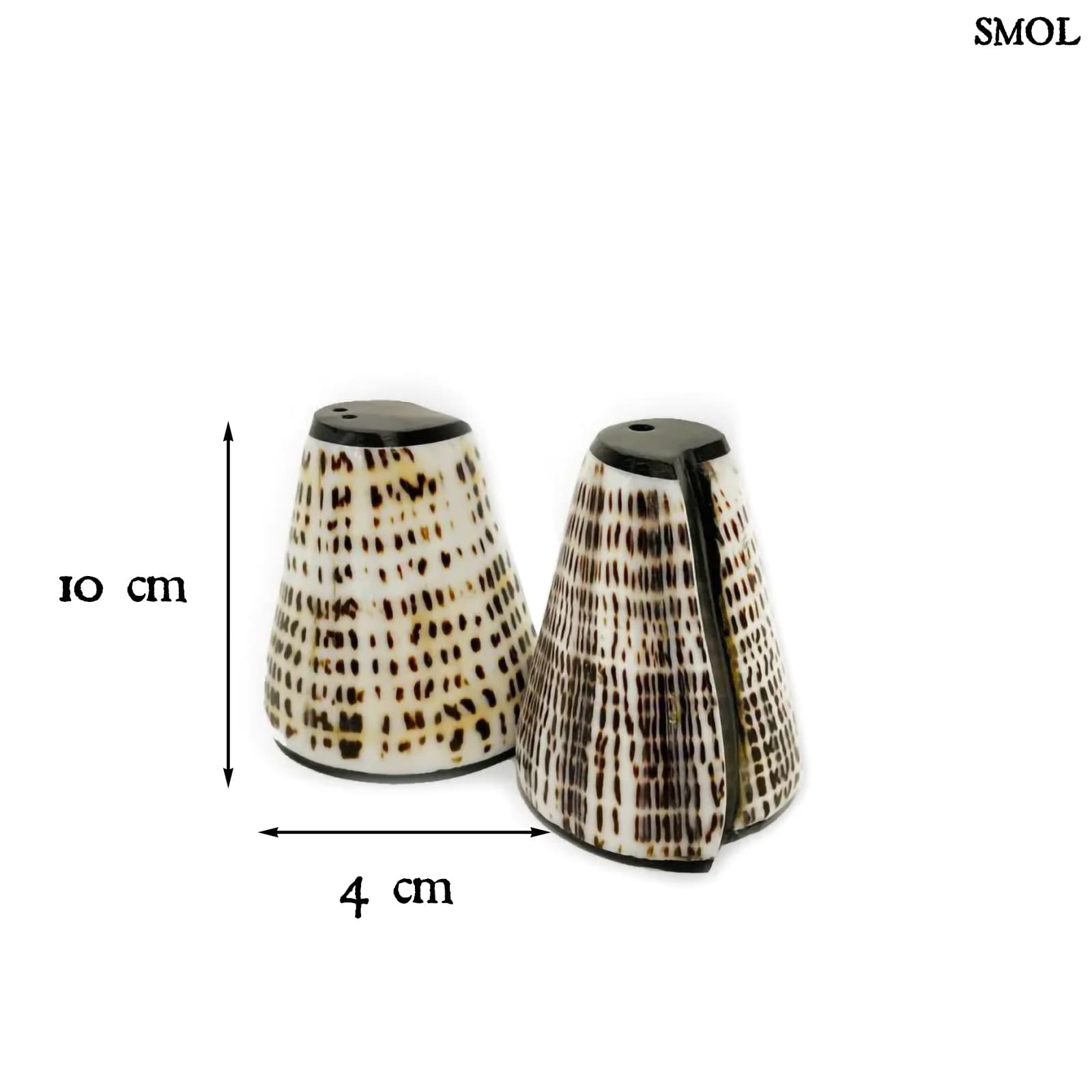 SALT PEPPA, kagylós só- és borsszóró szett, 10 cm - smol.hu - méretekkel