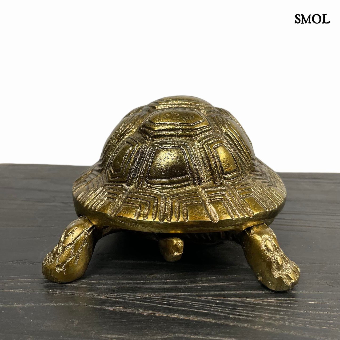 smol.hu -SHELLDON, fém, teknős tároló, 21 cm hátulról