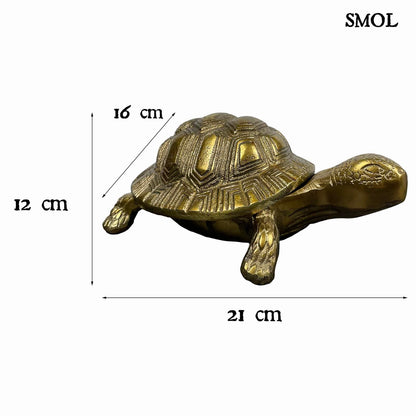 smol.hu -SHELLDON, fém, teknős tároló, 21 cm méretekkel