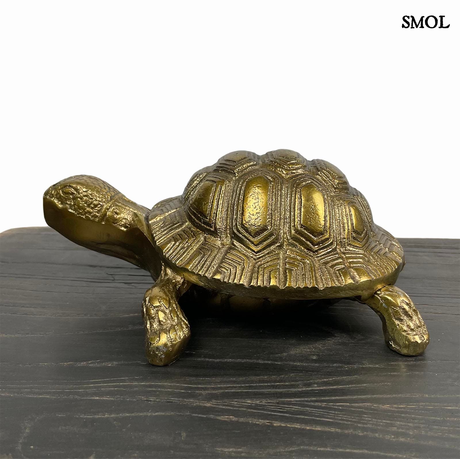 smol.hu -SHELLDON, fém, teknős tároló, 21 cm fekete asztalon, elfordítva