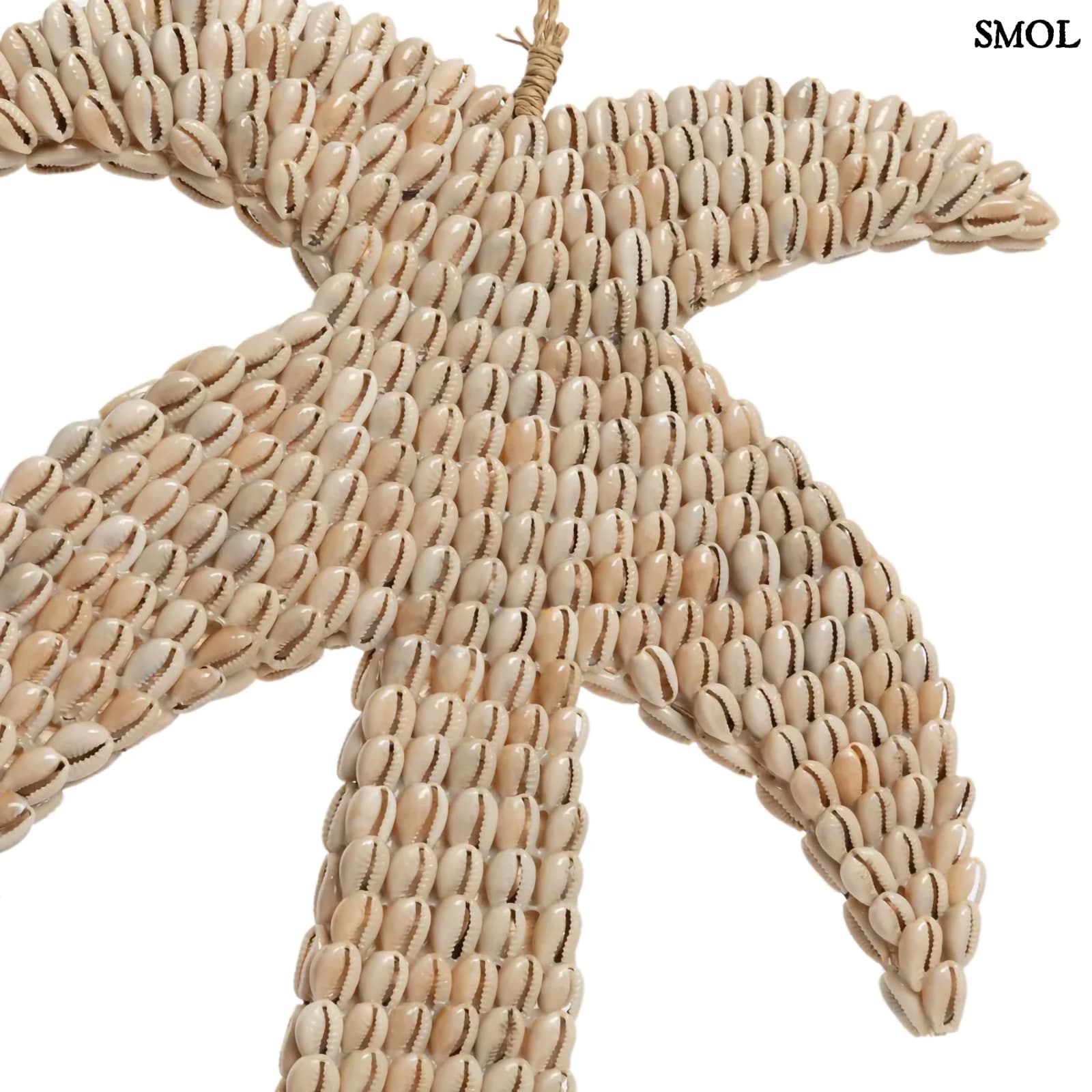 SHELL PALM, pálmafa formájú, kagylós függődísz, 20 cm - smol.hu - kagylók közelről