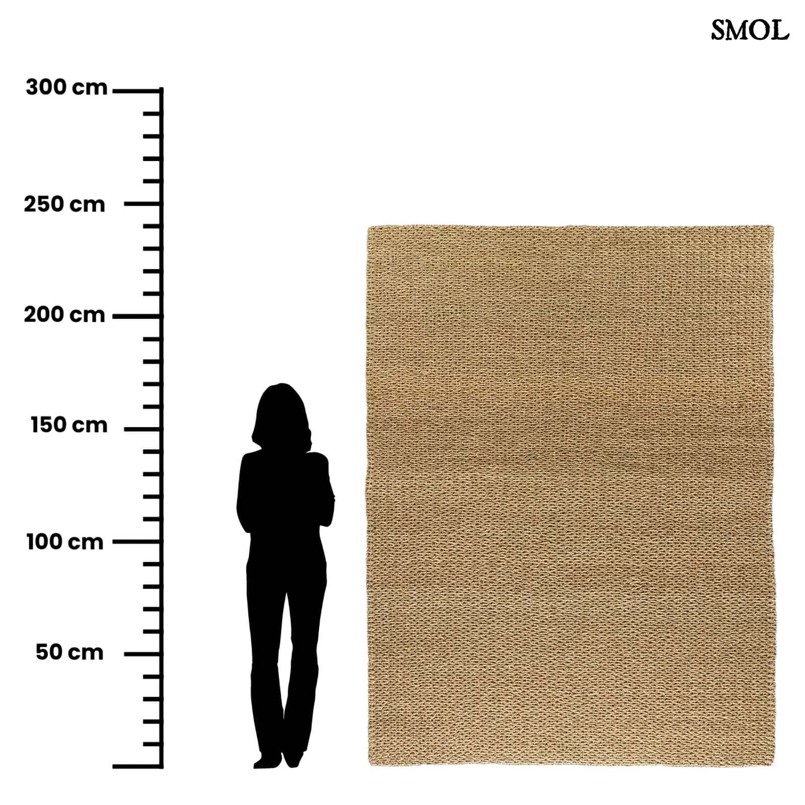 SIZALI, természetes szizál szőnyeg, 240x180 - smol.hu