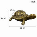 smol.hu -SHELLDON, fém, teknős tároló, 21 cm méretekkel