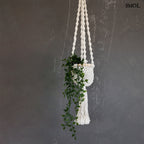 Virágtartó - függő, makramé, fehér, 135 cm | TWISTED - smol.hu - növénnyel
