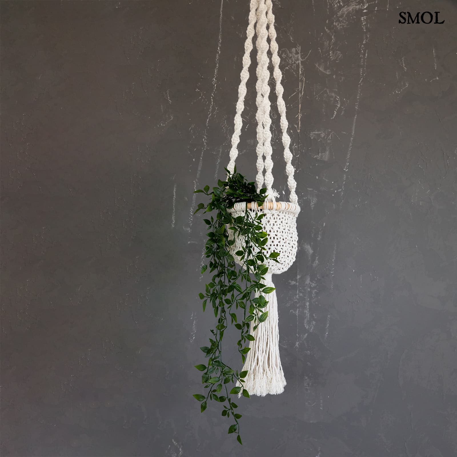 Virágtartó - függő, makramé, fehér, 135 cm | TWISTED - smol.hu - növénnyel