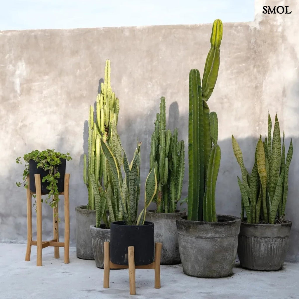 Fekete Terrakotta Virágtartó Teak Fa Lábbal | CHARCOAL LOW - SMOL