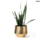 Ragyogó sárgaréz kalapált Planter, fém virágtartó, növénnyel