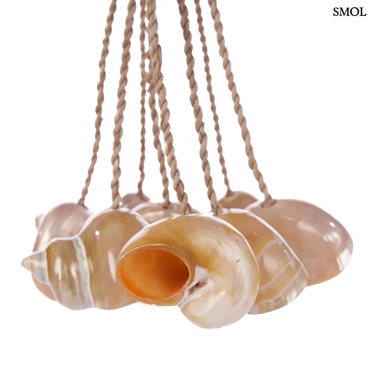 Kézzel készített kagylós dekoráció natúr kötélen függő conch kagylókkal, kagylók oldalról