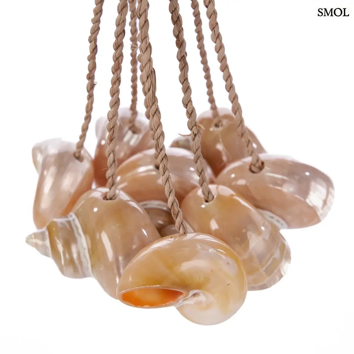 Kézzel készített kagylós dekoráció natúr kötélen függő conch kagylókkal, kagylók nagyítva