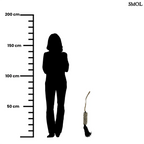 Kagylós függődísz – szürke | KANDRA