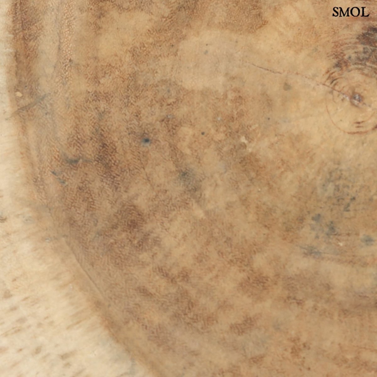 Kisasztal - suar fa, 45 cm | GALAPAGOS - SMOL