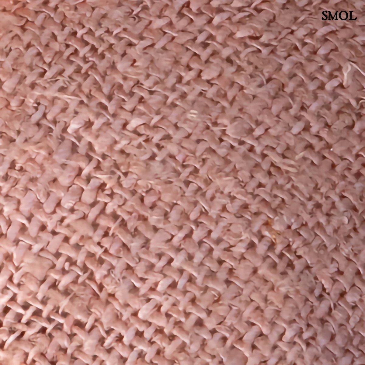 Pamut Díszpárnahuzat, 30x50 | GEE SALMON - SMOL