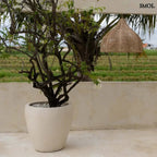 Rattan Függőlámpaernyő - natúr, M | WHIPPED - SMOL