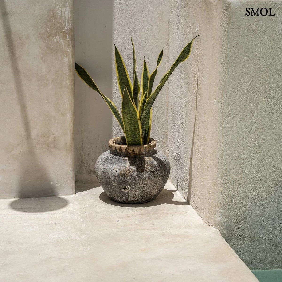 Terrakotta váza raffia szegéllyel - teraszon, növénnyel