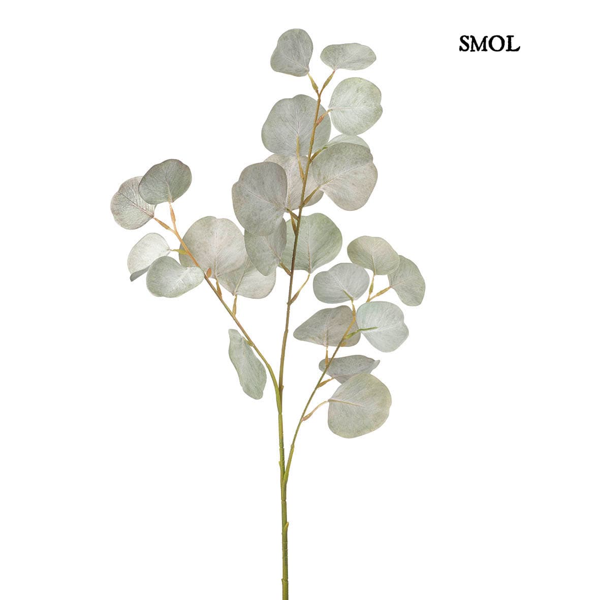 smol.hu - epeli eukaliptusz műnövény temékképe