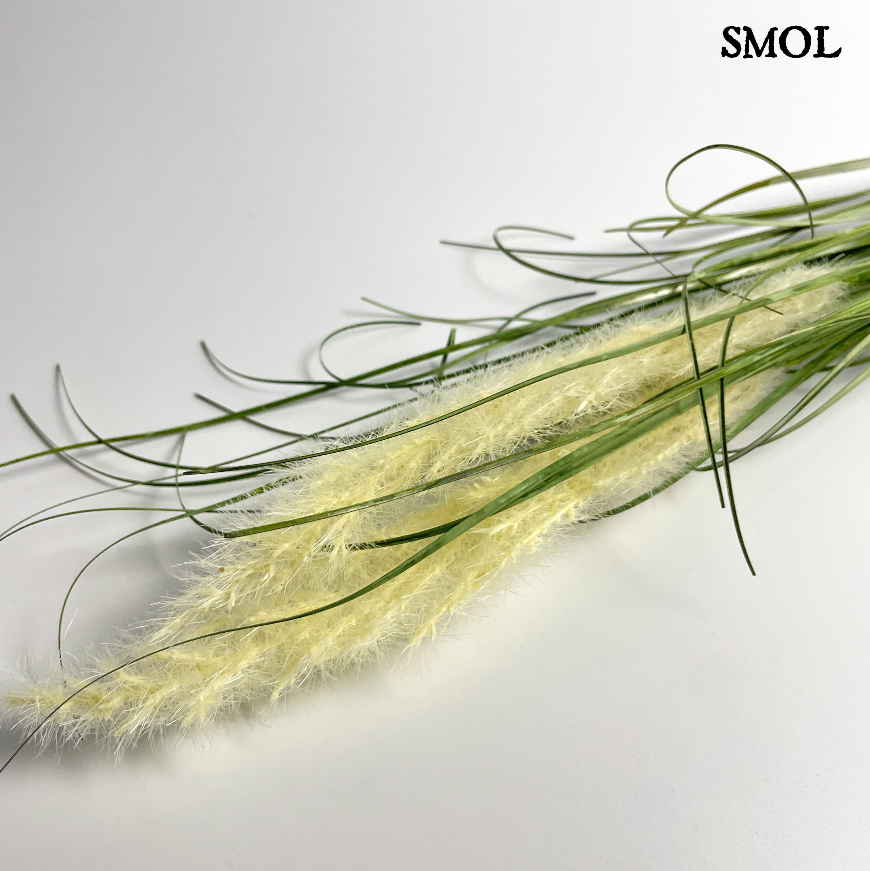 smol.hu - lelea tollas fű műnövény méretarányosan,smol.hu - lelea tollas fű műnövény felső része nagyítva,smol.hu - lelea tollas fű műnövény fekve,smol.hu - lelea tollas fű műnövény felülről,smol.hu - lelea tollas fű műnövény méretekkel