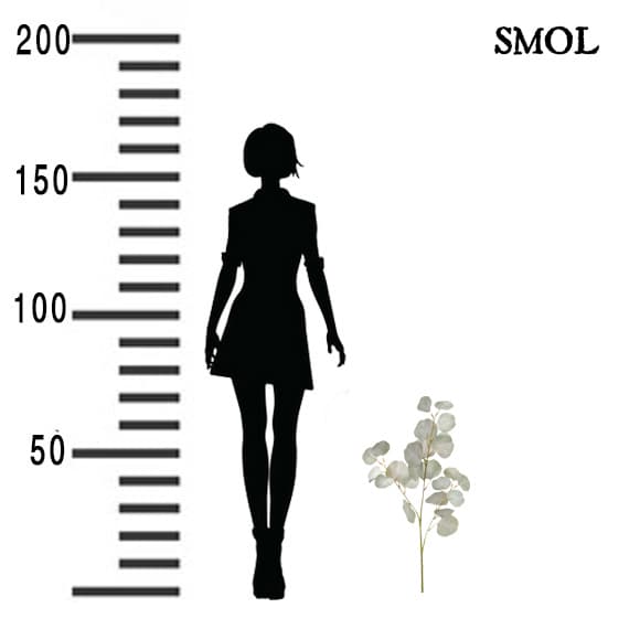smol.hu - epeli eukaliptusz műnövény méretarányosan,smol.hu - epeli eukaliptusz műnövény méretekkel
