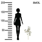 smol.hu - epeli eukaliptusz műnövény méretarányosan,smol.hu - epeli eukaliptusz műnövény méretekkel