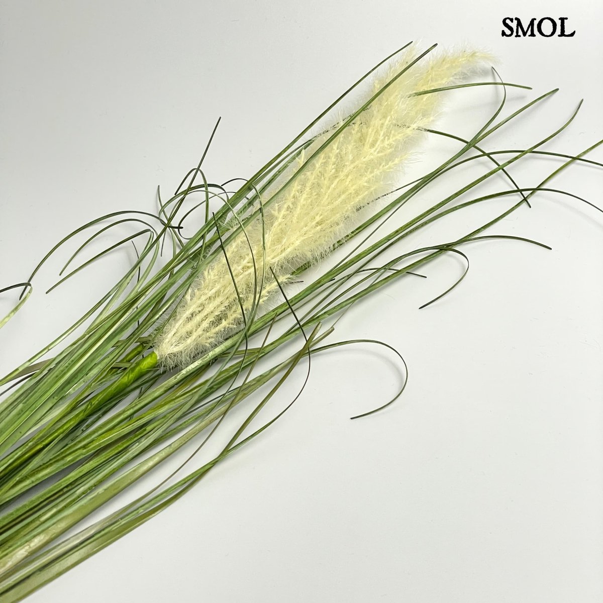 smol.hu - lelea tollas fű műnövény méretarányosan,smol.hu - lelea tollas fű műnövény felső része nagyítva,smol.hu - lelea tollas fű műnövény fekve,smol.hu - lelea tollas fű műnövény felülről,smol.hu - lelea tollas fű műnövény méretekkel