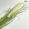 Műnövény - fű, 100 cm | LELEA