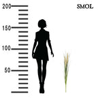 smol.hu - lelea tollas fű műnövény méretarányosan,smol.hu - lelea tollas fű műnövény felső része nagyítva,smol.hu - lelea tollas fű műnövény fekve,smol.hu - lelea tollas fű műnövény felülről,smol.hu - lelea tollas fű műnövény méretekkel