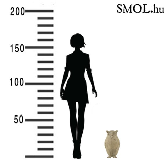 smol.hu- owl bagoly szobor 35 cm méretarányosan,smol.hu- owl bagoly szobor 35 cm,smol.hu- owl bagoly szobor 35 cm,smol.hu- owl bagoly szobor 35 cm,smol.hu- owl bagoly szobor 35 cm,smol.hu- owl bagoly szobor 35 cm