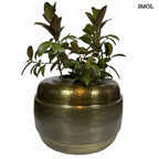 smol.hu;gary széles padlóváza 60cm,smol.hu;gary széles padlóváza 60cm,smol.hu;gary széles padlóváza 60cm,smol.hu;gary széles padlóváza 60cm,smol.hu;gary széles padlóváza 60cm méretarányosan,smol.hu;gary széles padlóváza 60cm méretekkel