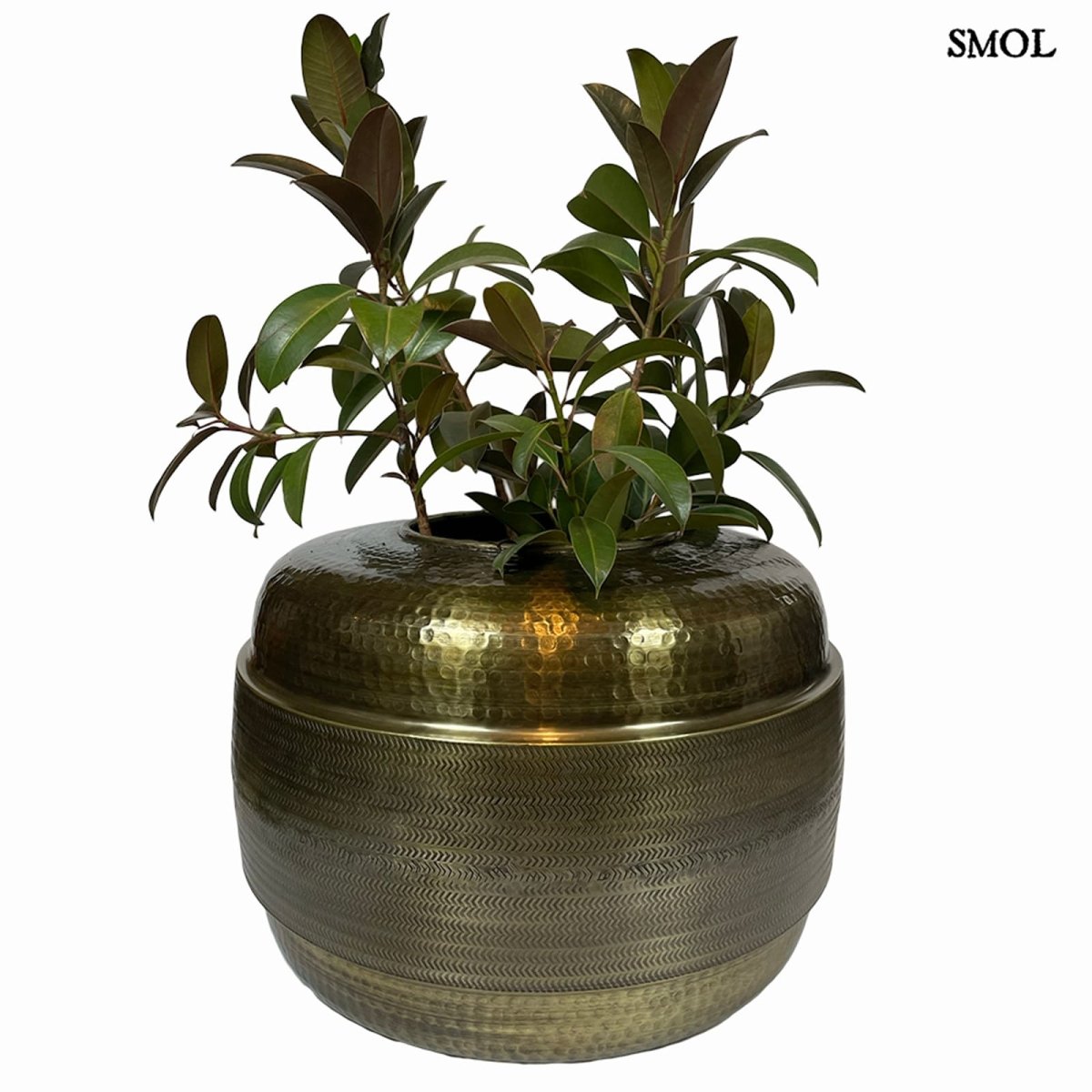 smol.hu;gary széles padlóváza 60cm,smol.hu;gary széles padlóváza 60cm,smol.hu;gary széles padlóváza 60cm,smol.hu;gary széles padlóváza 60cm,smol.hu;gary széles padlóváza 60cm méretarányosan,smol.hu;gary széles padlóváza 60cm méretekkel