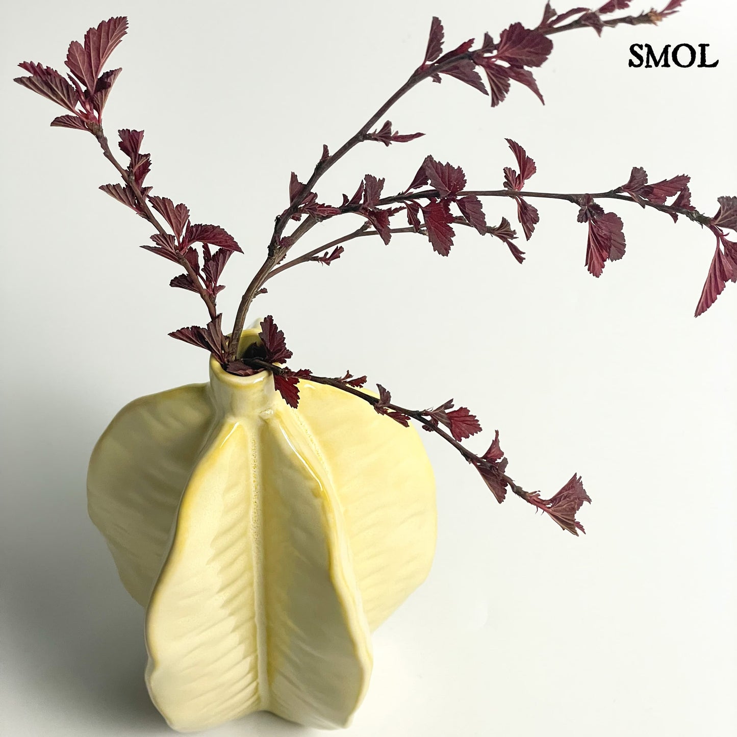 smol.hu - tomos, kerámia váza bordó leveles növénnyel
